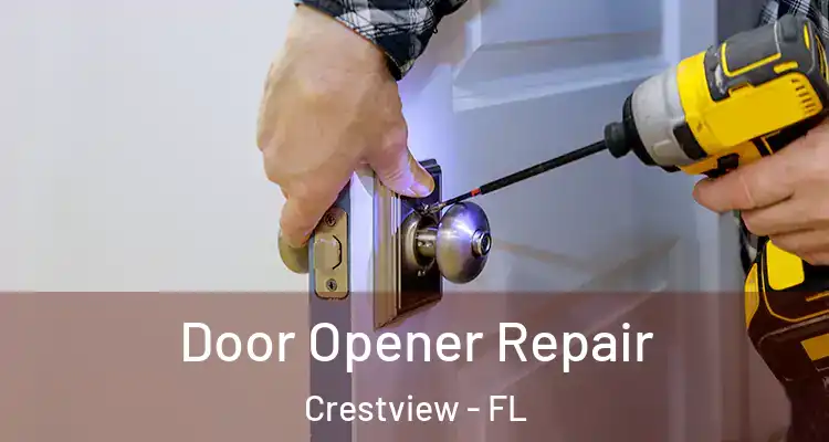 Door Opener Repair Crestview - FL