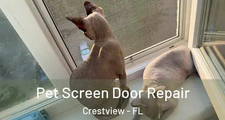 Pet Screen Door Repair Crestview - FL